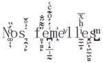 Cette image montre un ensemble de lettres et de symboles disposés de manière désordonnée et artistique. Les caractères semblent être mélangés et orientés dans différentes directions, créant une composition visuelle abstraite où l’on peut toutefois lire 'nos femelles' horizontalement.