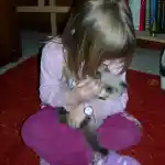 Comment tous à commencer | C’est un souvenir de mon enfant, assis sur le tapis rouge de la salle à manger, donnant le biberon à l’un de mes chatons persans colourpoint seal point.
