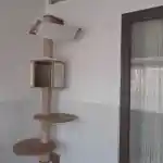 La vision de notre élevage, l'espace de mes chats | Montre notre arbre à chats mural blanc Dolomit de 168 cm, fixé sur un mur blanc. L’arbre à chat comprend plusieurs éléments : une plateforme supérieure recouverte de tissu en peluche, une maisonnette en dessous, et deux plateformes circulaires en bas. Le mur est partiellement carrelé avec des carreaux blancs jusqu’à mi-hauteur. Une porte vitrée se trouve sur le côté droit de l’image. La pièce est bien éclairée et propre.
