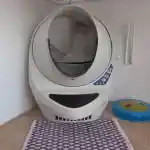 La vision de notre élevage, l'espace de mes chats | Montre la litière Litter-Robot 3 de mes chats. Cette litière présente un design moderne et arrondi. À côté de la litière, un jouet coloré pour chat est posé sur le sol. Un tapis aux motifs géométriques est placé devant la litière, ajoutant une touche de couleur à la pièce. Les boutons de contrôle bleus sur la litière indiquent qu’il s’agit d’un modèle automatique ou électrique.