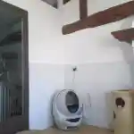Les moments clés de l’aménagement de la chatterie | Montre un coin de la pièce réservée à mes chats. Les murs sont peints en blanc et des poutres en bois sont visibles. Une litière Litter-Robot 3 est installée contre le mur, à côté d’une tour à griffer beige à trois niveaux pour mes chats. Le sol est carrelé et une porte vitrée donne sur le couloir principal de notre maison.